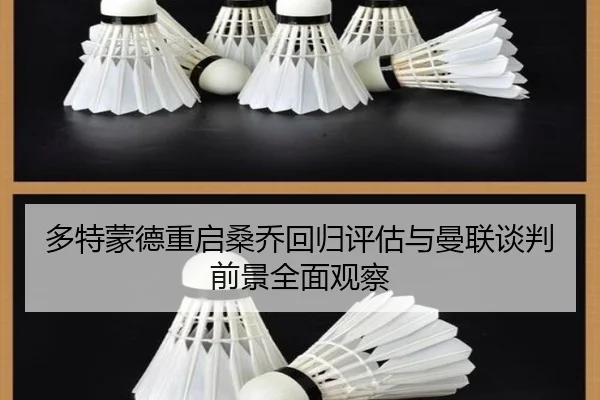 多特蒙德重启桑乔回归评估与曼联谈判前景全面观察